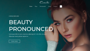 Art materials and acrylic paints supply